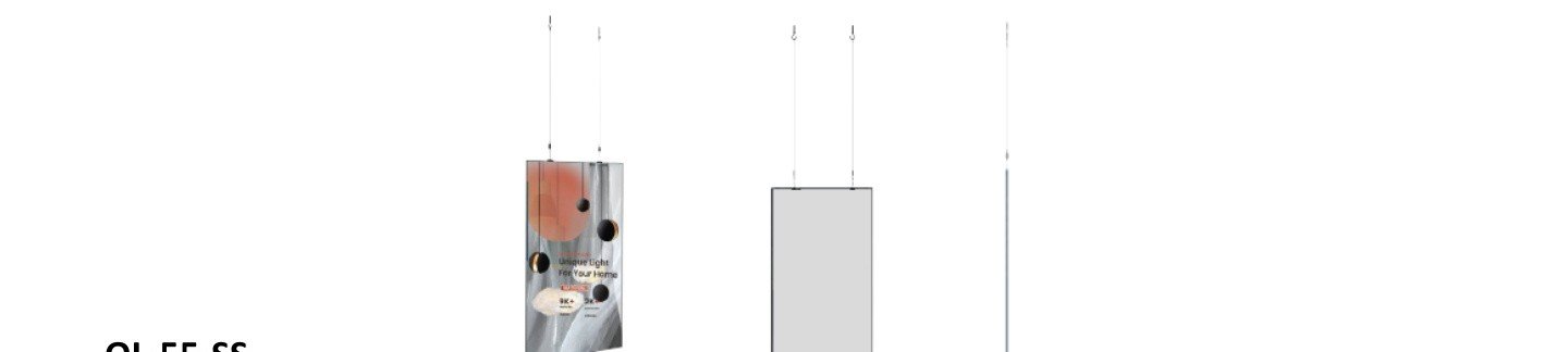 Display OLED trasparente dual side OL-55-DS